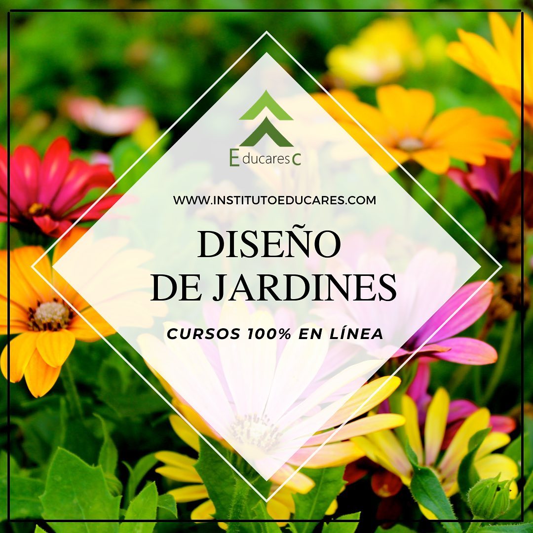 Diseño de Jardines